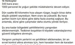 Bakan Yumaklı: Çanakkale Gelibolu'daki yangına müdahalemiz devam ediyor