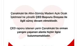 Bakanlık: ÇED raporu istenilen yerin, yangın çıkan alanla hiçbir ilgisi yok