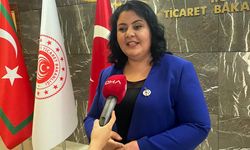 Bakanlık personeli ressama uluslararası ödül
