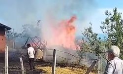 Bartın'da anız ve samanlık yangını