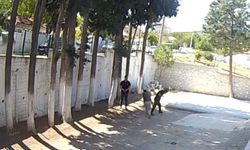 Belediye başkanı, zabıta memurlarını sopayla darbetti; o anlar kamerada