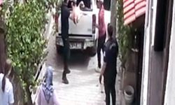 Bolu -Bayılttıkları köpekleri aracın kasasına fırlattılar; o anlar kamerada /Video eklendi