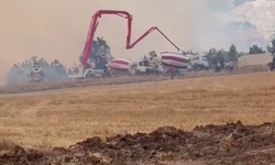 Bolu'da orman yangını (2)