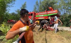 Bolu'da orman yangını, kısa sürede kontrol altına alındı