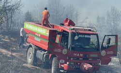 Bolu'da yerleşim yeri yakınında orman yangını