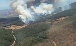 Bursa'da orman yangını (6)