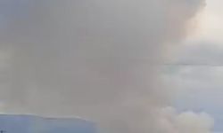 Bursa'da orman yangını