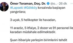Çanakkale orman yangını (2)