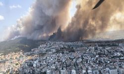 Çanakkale'de bu yıl 118 orman yangını çıktı; 7 bin 39 hektar alan zarar gördü