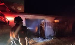 Çanakkale'de iki orman yangını (12)