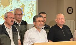 Çanakkale'de iki orman yangını (13)