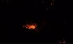 Çanakkale'de orman yangını (2)