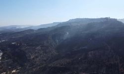 Çanakkale'de orman yangını 2'nci gününde / Ek fotoğraflar