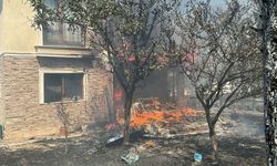 Çanakkale'de orman yangını (4)