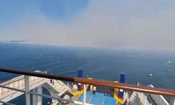 Çanakkale'de orman yangını (5)
