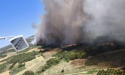 Çanakkale’de orman yangını / Ek fotoğraflar
