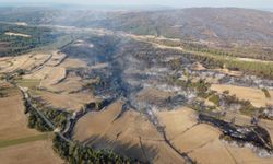 Çanakkale'de orman yangını kontrol altında; yanan alanlar dronla görüntülendi