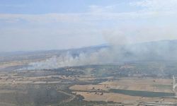 Çanakkale'de tarım arazisinde yangın