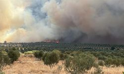 Çanakkale'deki orman yangını 2'nci gününde (3)