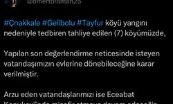 Çanakkale'deki orman yangını 2'nci gününde (4)