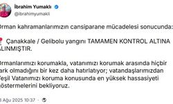 Çanakkale'deki orman yangınında zarar gören alanlar dron ile görüntülendi (2)