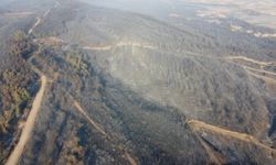 Çanakkale'deki orman yangınında zarar gören alanlar dron ile görüntülendi