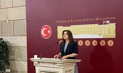 DEM Parti'li Koçyiğit: Komisyonun isminde 'demokrasi' kavramının olmasında ısrarcıyız