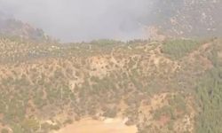 Denizli'deki orman yangını Aydın'a sıçradı