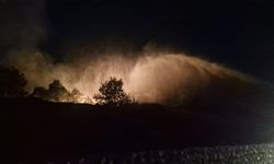 Diyarbakır'da 3 noktada örtü yangını / Ek Fotoğraflar