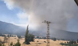 Diyarbakır'da 3 noktada örtü yangını