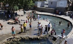 Diyarbakır'da termometreler 48 dereceyi gösterdi / Ek fotoğraflar