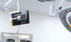 Doktorların kurduğu müzik grubu, doğa ve can dostları için sahne alıyor