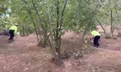 Düzce'de kaybolan kadın aranıyor