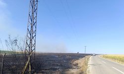 Edirne'de anız yangını; fabrikaya sıçramadan söndürüldü