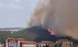 Edirne'de makilikte çıkan yangın, tarlaya sıçradı