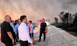 Edirne'de orman yangını (2)