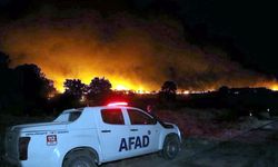 Edirne'de orman yangını (4)