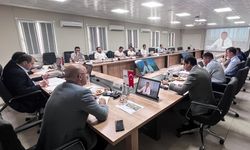 Enerji ve Tabii Kaynaklar Bakan Yardımcısı Demircan, Akkuyu NGS’yi ziyaret etti