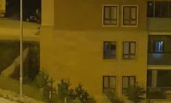 Eşeği otomobilin arkasına bağlayıp sürükleyerek götürenlere ceza
