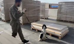 Esrar ve metamfetamine 'gümrük' darbesi