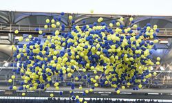 Fenerbahçe-Feyenoord maçından notlar