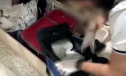 Gaziantep'te 7 kilo skunk ele geçirildi; 1 tutuklama