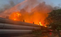Gaziantep'te geri dönüşüm fabrikasında yangın (2)