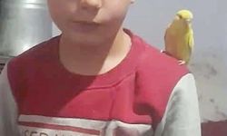 Gölete giren 2 çocuk boğuldu / Ek fotoğraflar