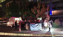 Hafif ticari aracın çarpıp, kaçtığı yaya öldü