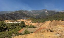 Hatay'da orman yangılarına müdahale sürüyor