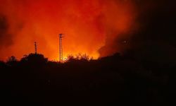 Hatay'da orman yangını (2)