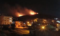 Hatay'da orman yangını ikinci gününde; havadan müdahale başladı (5)