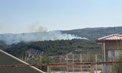 Hatay'daki orman yangını, 16,5 saat sonra kontrol altına alındı