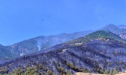 Hatay'daki orman yangını ikinci gününde; havadan müdahale başladı (2)